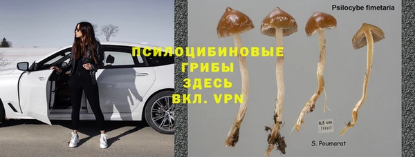 альфа пвп Баксан