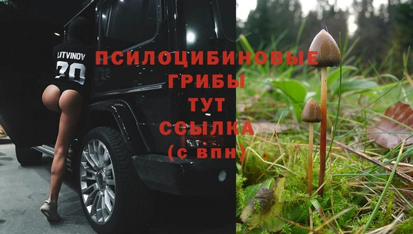 альфа пвп Баксан