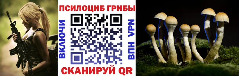 Псилоцибиновые грибы GOLDEN TEACHER  что такое   Крымск 
