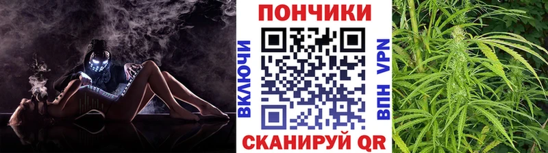 как найти наркотики  Крымск  Марихуана план 